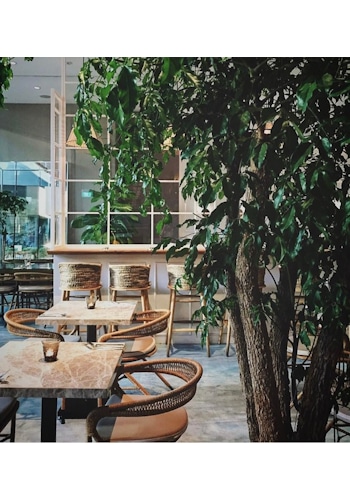 Coastal Elegance at Fynn’s Singapore Restaurant is meticulously crafted and designed by studio Königshausen. Indulge in a culinary journey at our light lunch and dining destination, where contemporary coastal design takes centre stage.  